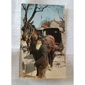 Vintage Postcard Ohio Amish man with horse and buggy in front of General Store